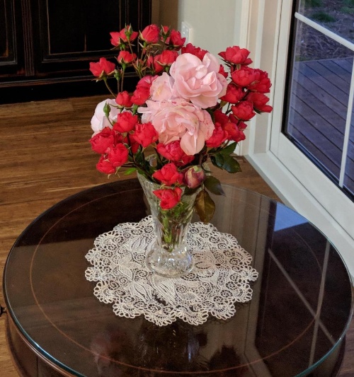 Mountain Blue Guest House image 16