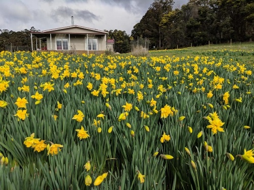 Mountain Blue Guest House image 20