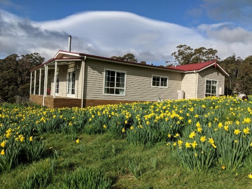 Mountain Blue Guest House image 21