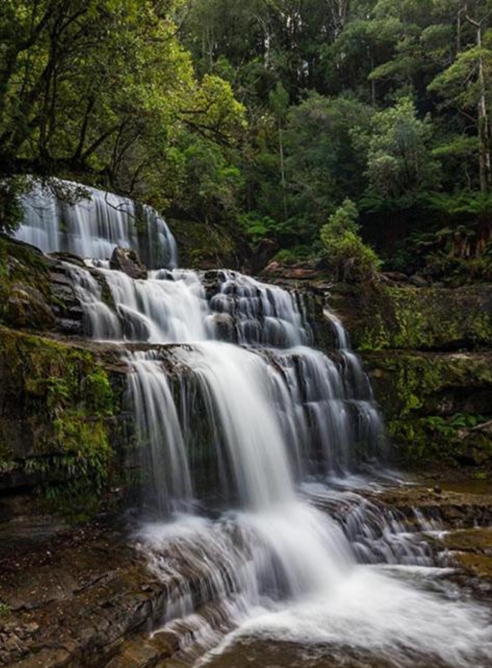 Mountain Blue Guest House